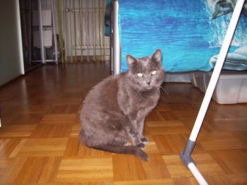 Chiara Bild von Chiara