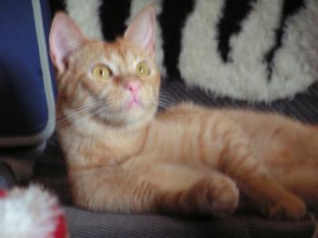 Eureka Bild von Eureka