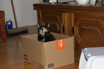 Betty Bild von Betty