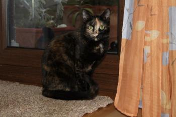 Betty Bild von Betty