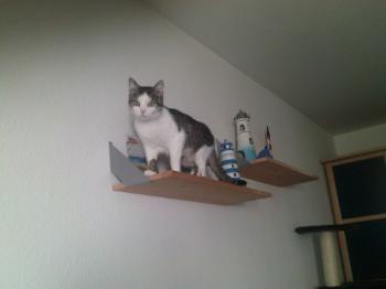 Hafsi Bild von Hafsi