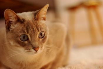 Bild von Happy