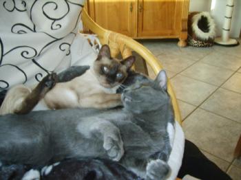 Riki Bild von Riki