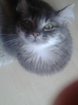 Ritzo Bild von Ritzo