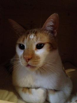 Tino Bild von Tino