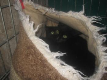 Ohne Namen 5412 Bild von Naomi