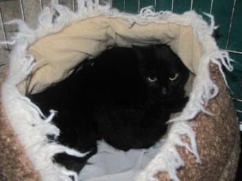 Ohne Namen 5412 Bild von Naomi