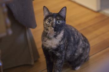 Fifi Bild von Fifi