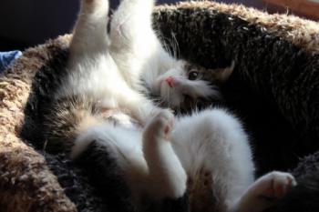Hanni Bild von Hanni