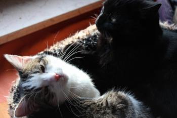 Hanni Bild von Hanni