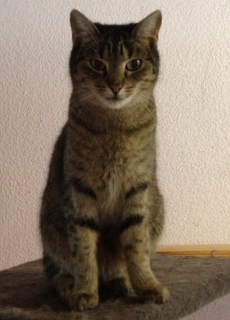 Paula Bild von Paula