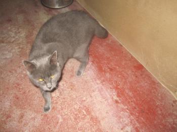 Willy Bild von Willy