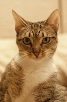 Bild von Lisa