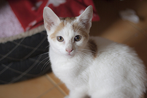 Magi Bild von Magi