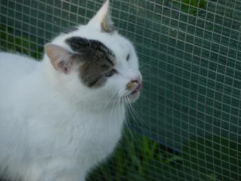 Mausi Bild von Mausi