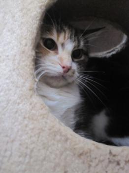 Cindy Bild von Cindy