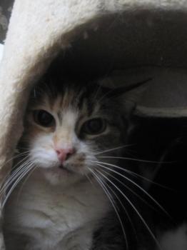 Cindy Bild von Cindy