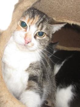 Cindy Bild von Cindy