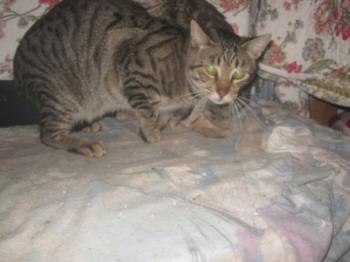 Jacki Bild von Jacki