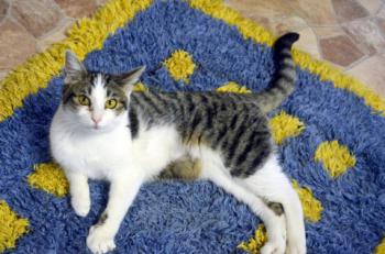 Hanni Bild von Hanni