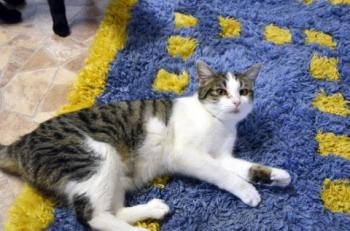 Hanni Bild von Hanni