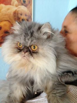 Minka Bild von Minka