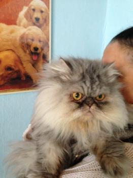 Minka Bild von Minka