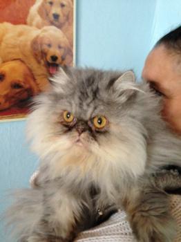 Minka Bild von Minka