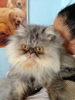 Minka Bild von Minka