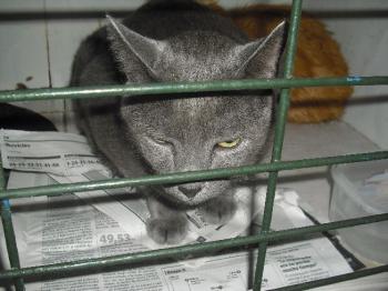 Ohne Bild von Pepper