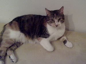 Arizona Baby Bild von Arizona Baby