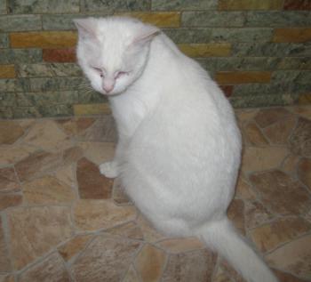 Ayda Bild von Ayda