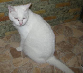 Ayda Bild von Ayda