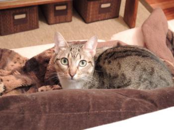 Bild von Lisa