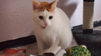 Micky Bild von Micky