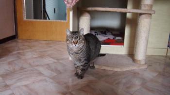 Gipsy-Mimi Bild von Gipsy-Mimi