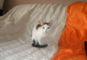 Davinia Bild von Davinia