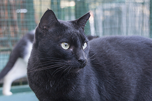 Timothy Bild von Timothy