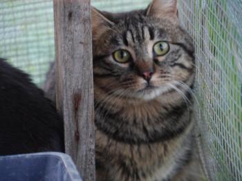 Starbuck Bild von Starbuck
