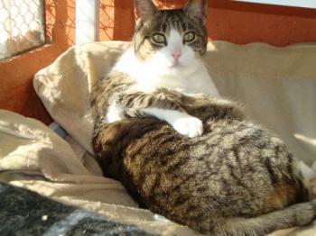 Mico Bild von Mico