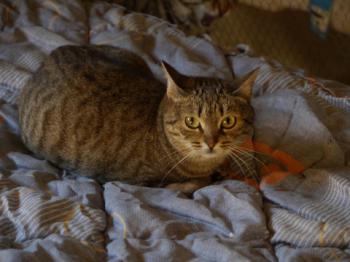 Bild von Inga