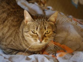 Bild von Inga
