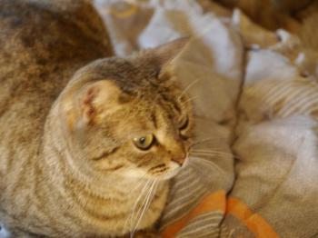 Bild von Inga