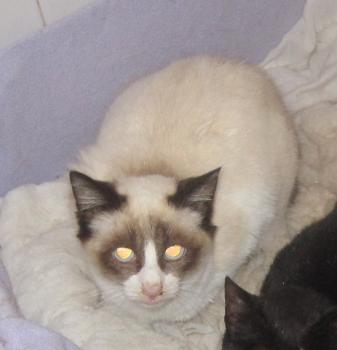 Ohne Namen 5539 Bild von Cilia