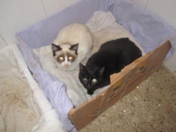 Ohne Namen 5539 Bild von Cilia