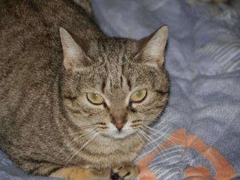 Bild von Inga