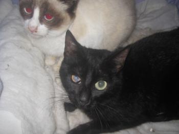 Ohne Namen 5539 Bild von Cilia