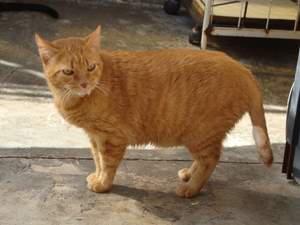Bruno Bild von Bruno