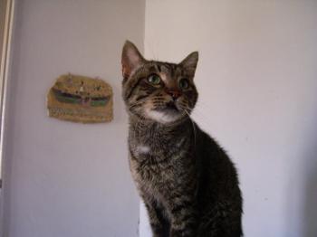 Bild von Rey