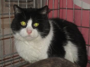 Bild von Abu